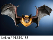 Spectacled flying fox isolated on a black background. Стоковое AI-изображение, AI-художник Veniamin Kraskov / Фотобанк Лори