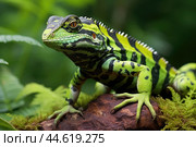 Striped Toloque in the wild. Стоковое AI-изображение, AI-художник Veniamin Kraskov / Фотобанк Лори