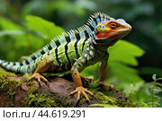 Striped Toloque in the wild. Стоковое AI-изображение, AI-художник Veniamin Kraskov / Фотобанк Лори