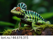 Striped Toloque in the wild. Стоковое AI-изображение, AI-художник Veniamin Kraskov / Фотобанк Лори