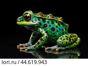 Beautiful green toad closeup. Стоковое AI-изображение, AI-художник Veniamin Kraskov / Фотобанк Лори