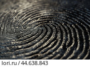Close up image of the intricate, whorled textures of tree rings on a stump. Стоковое AI-изображение, AI-художник Иван Рябоконь / Фотобанк Лори