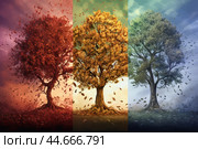 Seasonal tree triptych - abstract art. Стоковое AI-изображение, AI-художник Иван Рябоконь / Фотобанк Лори