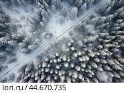 Aerial view of a snow-covered forest intersected by a lonely road. Стоковое AI-изображение, AI-художник Иван Рябоконь / Фотобанк Лори