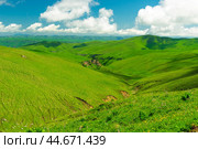Beautiful landscape with low green hills in sunny weather. Caucasus. Стоковое фото, фотограф Константин Лабунский / Фотобанк Лори