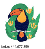 Red-billed toucan among the branches. Tropical jungle bird. Design element for postcards, banners, textiles, and room decor. Colorful illustration. Стоковая иллюстрация, иллюстратор KOSIM / Фотобанк Лори