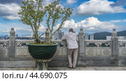 A dwarf bonsai tree grows in a pot. A man stands at the carved railing on the terrace, looking at the panorama of the city. The view from the back. Malaysia. Penang. Georgetown. Kek Lok Si Temple (2023 год). Стоковое фото, фотограф Вера Ивановна Кубарева / Фотобанк Лори