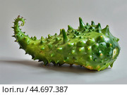 Green spiky kiwano melon is laying on a white surface. Стоковое AI-изображение, AI-художник Иван Рябоконь / Фотобанк Лори