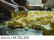 Close up of cheesemaker hands kneading fresh curd. Стоковое AI-изображение, AI-художник Иван Рябоконь / Фотобанк Лори