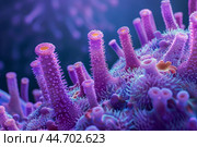 Microscopic view of purple coral showing polyps growing on reef. Стоковое AI-изображение, AI-художник Иван Рябоконь / Фотобанк Лори