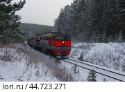 Тепловоз 2ТЭ116-414 с грузовым поездом движется через зимний лес, перегон Полевской - Мраморская, Свердловская область (2018 год). Редакционное фото, фотограф Алексей Иванов / Фотобанк Лори
