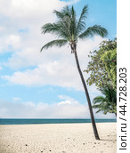 Summer beach background. Sand and sea and blue sky. Palm tree and amazing cloudy blue sky at tropical beach island in Indian Ocean. Thailand popular tourist destination. (2023 год). Стоковое фото, фотограф Павел Муравьев / Фотобанк Лори