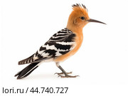 Eurasian hoopoe (Upupa epops) on white background. Стоковое AI-изображение, AI-художник Veniamin Kraskov / Фотобанк Лори
