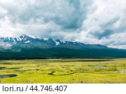 Подтопленные рекой Куркурек участки вечной мерзлоты у озера Джангысколь летом в предгорье Северо-Чуйского хребта. Кош-Агачский район горного Алтая, Западная Сибирь. Стоковое фото, фотограф Евгений Мухортов / Фотобанк Лори