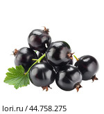 Fresh black currants with leaf on transparent background. Стоковое AI-изображение, AI-художник Иван Рябоконь / Фотобанк Лори