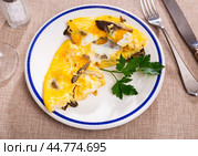 Homemade breakfast or brunch meal - Tasty mushroom omlette on plate, overhead view. Стоковое фото, фотограф Яков Филимонов / Фотобанк Лори