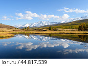 Снежные горы Алтая и их отражение на поверхности воды. Северо-Чуйский хребет. Осенний пейзаж, озеро Джангысколь. Сибирь, природа и туризм России. Picturesque Altai nature landscape of swamp lake, yellow autumn forest, amazing reflection of mountain ice peak of Siberia taiga, lonely larch tree on shore, cloudy sky. Russian nature, Altai, Siberia. Стоковое фото, фотограф Евгений / Фотобанк Лори