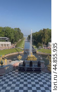PETERGOF, SAINT PETERSBURG, RUSSIA - September 17, 2024: Vertical video of the beautiful Samson Canal and fountain on Lower park of Peterhof on sunny summer day. Top view. City popular landmark. Редакционное видео, видеограф Виктория Катьянова / Фотобанк Лори