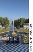 PETERGOF, SAINT PETERSBURG, RUSSIA- September 17, 2024: Vertical video of the beautiful Lower park of Peterhof, Samson fountain, Sea canal on sunny summer day. Panoramic top view. City famous landmark. Редакционное видео, видеограф Виктория Катьянова / Фотобанк Лори