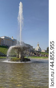 PETERGOF, SAINT PETERSBURG, RUSSIA - September 17, 2024: Vertical video of the beautiful  fountain on Lower park of Peterhof on sunny summer day. Scenic view. City popular landmark. Редакционное видео, видеограф Виктория Катьянова / Фотобанк Лори