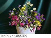 Bouquet of multicolored flowers in a vase (Limonium sinuatum, Statice sinuata) on a green background. Стоковое фото, фотограф Ирина Вершинская / Фотобанк Лори