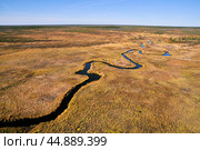 Золотая осень, тайга, извилистая  река, лесотундра, болотистая местность, облачный пейзаж. Западная Сибирь, Ханты-Мансийский  АО. Стоковое фото, фотограф Павел Просянов / Фотобанк Лори