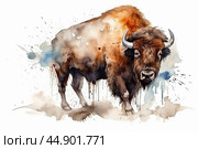 Watercolor bison illustration on white background. Стоковое AI-изображение, AI-художник Ксения Лаптева / Фотобанк Лори