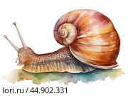 Watercolor snail illustration on white background. Стоковое AI-изображение, AI-художник Ксения Лаптева / Фотобанк Лори