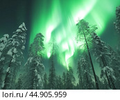 Nothern lights winter landscape. New Year concept. Стоковое AI-изображение, AI-художник Ксения Лаптева / Фотобанк Лори