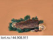 composition of fir tree branches, tree bark and dried spices. Стоковое фото, фотограф Александра Конопля / Фотобанк Лори