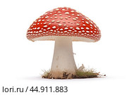 Mushroom Amanita on white background. Стоковое AI-изображение, AI-художник Veniamin Kraskov / Фотобанк Лори