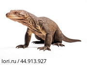 Giant Indonesian varanus (Varanus komodoensis) on white background. Стоковое AI-изображение, AI-художник Veniamin Kraskov / Фотобанк Лори