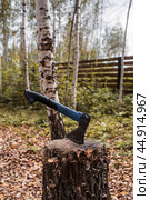 An axe will be stuck into a wooden log. Harvesting firewood for the winter season. Logging on the background of the forest. Lumber, wood-cutting tools. Стоковое фото, фотограф Photojuli / Фотобанк Лори