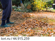 A bunch of autumn leaves and a woman is doing a general cleaning in the garden. In autumn, people clean the lawn of dry leaves. Gardening. Garden cleaning. Стоковое фото, фотограф Photojuli / Фотобанк Лори