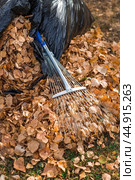 A bunch of autumn leaves and a woman is doing a general cleaning in the garden. In autumn, people clean the lawn of dry leaves. Gardening. Garden cleaning. Стоковое фото, фотограф Photojuli / Фотобанк Лори