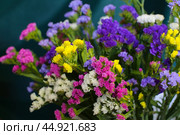 Bouquet of multicolored flowers in a vase (Limonium sinuatum, Statice sinuata) on a green background. Стоковое фото, фотограф Ирина Вершинская / Фотобанк Лори