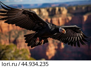 A California Condor soaring against the backdrop of the scenic, rugged cliffs of the Grand Canyon. Стоковое AI-изображение, AI-художник Veniamin Kraskov / Фотобанк Лори