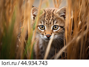 Cute furry animal in its natural habitat. Стоковое AI-изображение, AI-художник Veniamin Kraskov / Фотобанк Лори