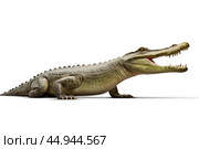 A gharial, a long-snouted crocodile with a narrow muzzle on white background. Стоковое AI-изображение, AI-художник Veniamin Kraskov / Фотобанк Лори