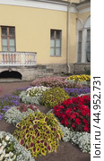 PAVLOVSK, SAINT PETERSBURG, RUSSIA - September 14, 2024: Vertical video of garden near Pavlovsk Palace - summer residence of Emperor Paul I on sunny day. Panoramic view of landscape with flower beds. Редакционное видео, видеограф Виктория Катьянова / Фотобанк Лори