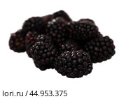 Black mulberry berries sweet summer fruits. Стоковое фото, фотограф Яков Филимонов / Фотобанк Лори