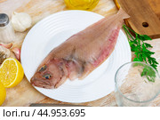 Raw megrim fish served with parsley. Стоковое фото, фотограф Яков Филимонов / Фотобанк Лори