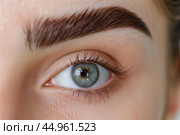 Beautician showing perfect eyebrow shape after permanent makeup. Стоковое AI-изображение, AI-художник Иван Рябоконь / Фотобанк Лори