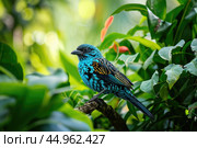 A Spangled Cotinga in its natural habitat, perched on a branch amidst lush tropical foliage. Стоковое AI-изображение, AI-художник Veniamin Kraskov / Фотобанк Лори