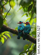 A pair of Spangled Cotingas. Стоковое AI-изображение, AI-художник Veniamin Kraskov / Фотобанк Лори