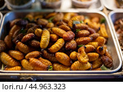 Street food. Dried and fried exotic delicacies of insect larvae at a night food market. Стоковое фото, фотограф Коханова Наталья / Фотобанк Лори