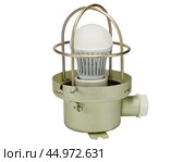 Осветительная лампа с защитным металлическим кожухом на белом фоне. A lighting lamp with a protective metal casing isolated over white background. Стоковое фото, фотограф Татьяна Д / Фотобанк Лори