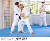 Mature men working on martial arts techniques and maneuvers in training fight. Стоковое фото, фотограф Яков Филимонов / Фотобанк Лори