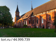 Konigsberg Cathedral on Kanta or Kneiphof Island. Kaliningrad. Russia (2021 год). Редакционное фото, фотограф Elena Odareeva / Фотобанк Лори