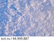 Background of winter ice and snow texture. Ice covered by frost naturl background. Стоковое фото, фотограф Сергей Пристяжнюк (Serg Zastavkin) / Фотобанк Лори